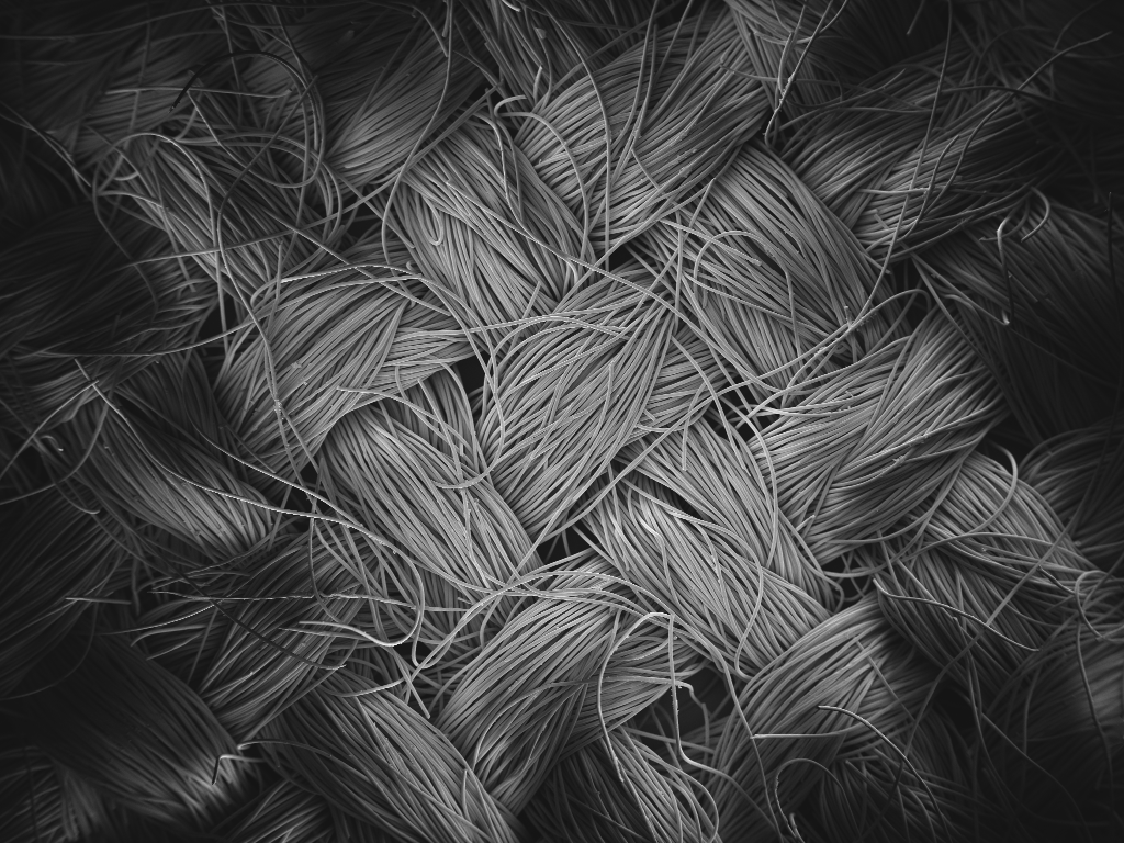 MaP Best Image Prize: Structural beauty—carbon fibers aligned in flawless, repeating grids