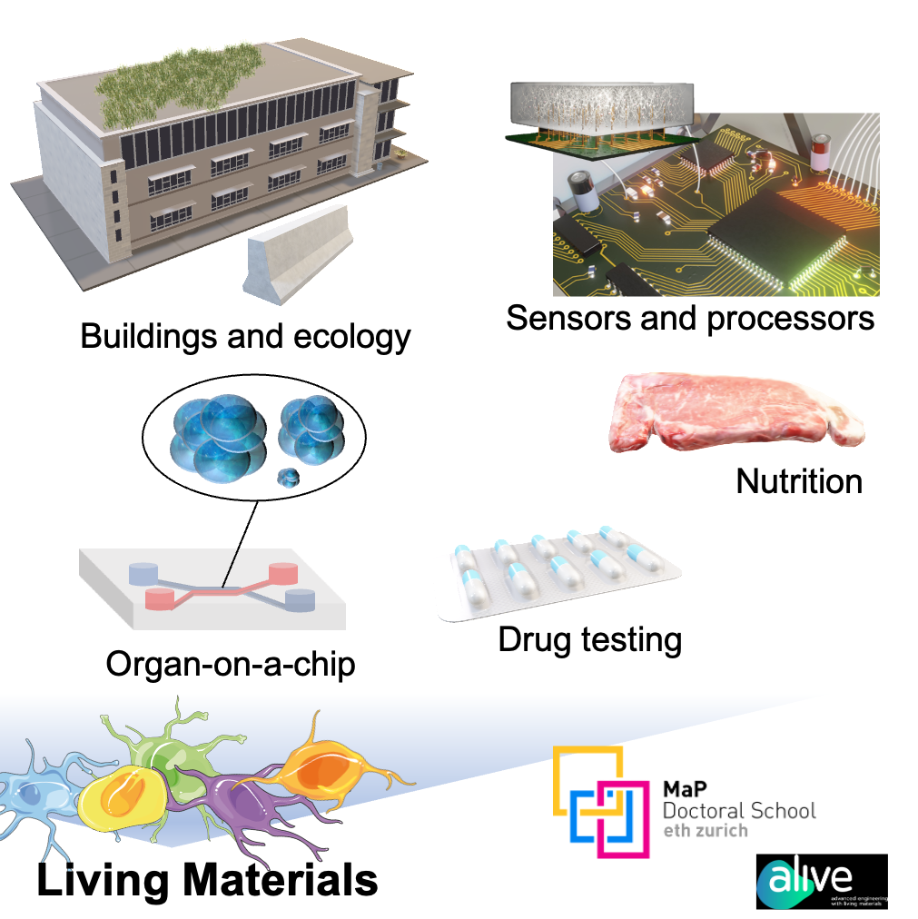 Engineering with Living Materials