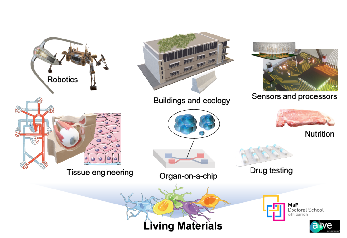 Enlarged view: MaP Distinguished Lecture Series 'Engineering with Living Materials'