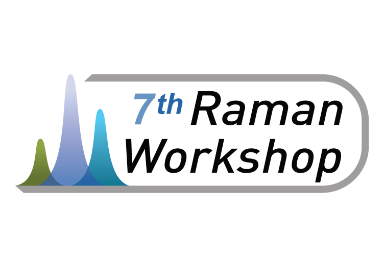 Logo 7th Raman Workshop