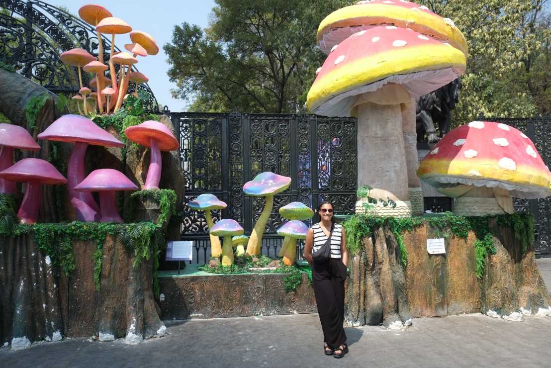 Full-body picture (small) of a woman in leisurely clothing in front of giang artificial mushroom figures